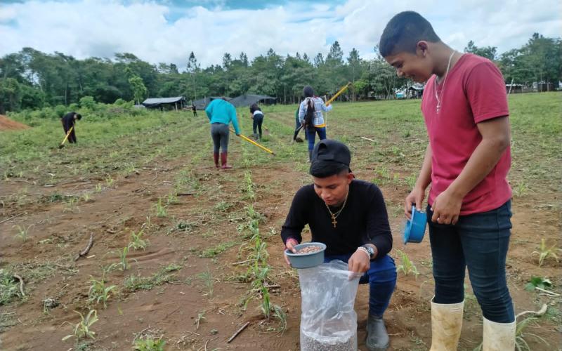 Jóvenes reciben apoyo técnico para siembra 