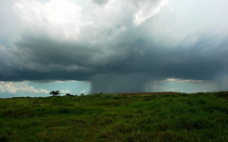 Lluvias se intensificarán la próxima semana: aplique prácticas de manejo del agua