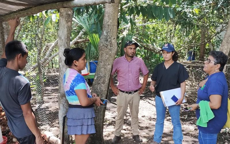 Peteneros reciben asistencia técnica de aves de postura