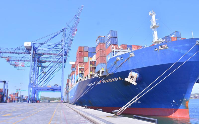 Sanidad pecuaria: Se han autorizado 24,677 gestiones de importación en ocho meses