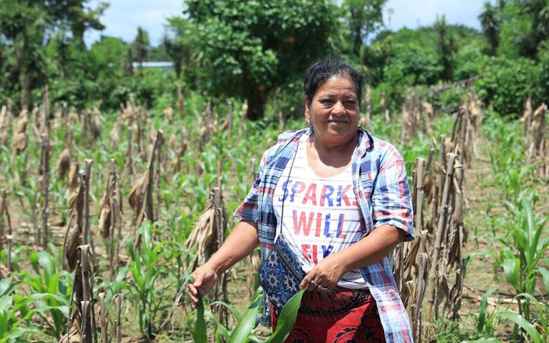 Seguro Agropecuario respalda a 70 mil pequeños productores