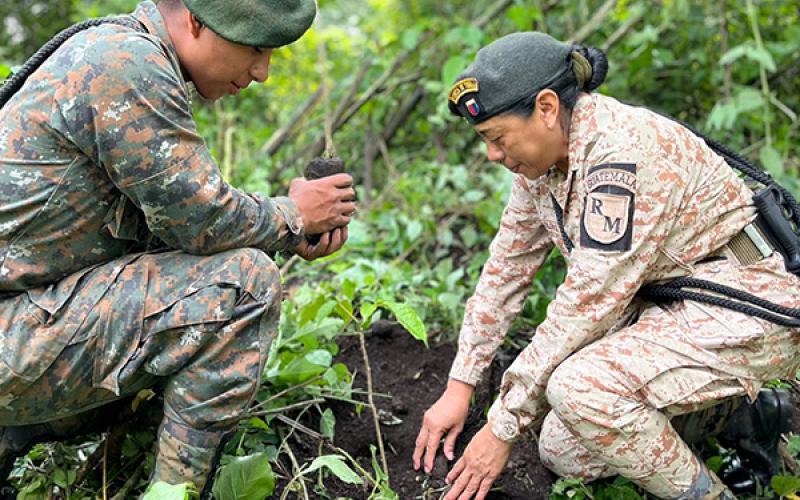 Ejército de Guatemala lleva a cabo jornadas de reforestación para el fortalecimiento de los bosques.