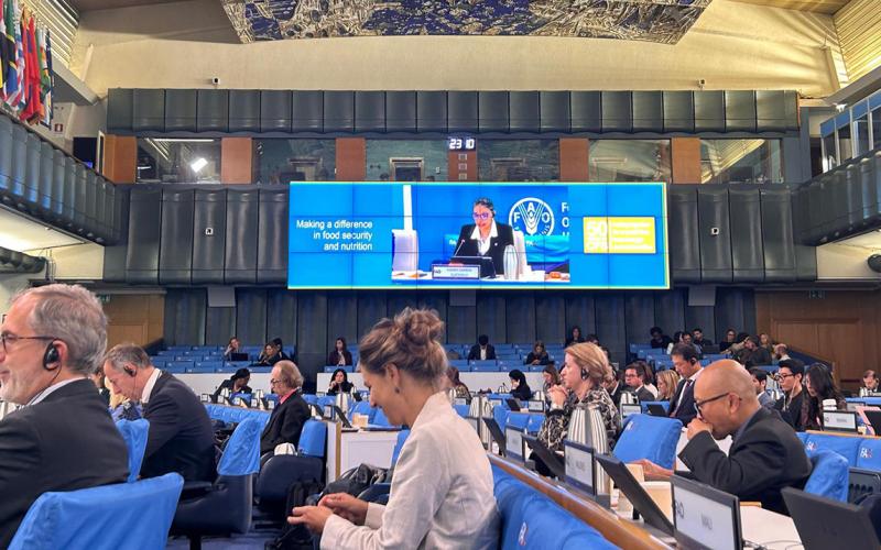 Guatemala presenta avances en la 52ª Sesión Plenaria del Comité de Seguridad Alimentaria Mundial