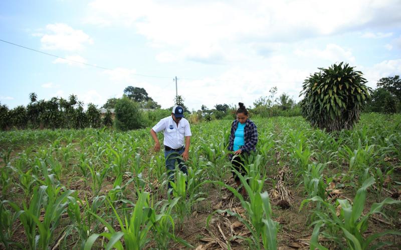 La importancia de contar con el Seguro Agropecuario
