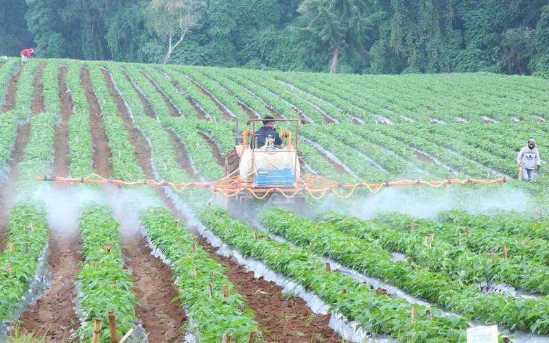 La tecnología y la maquinaria favorecen el trabajo agrícola