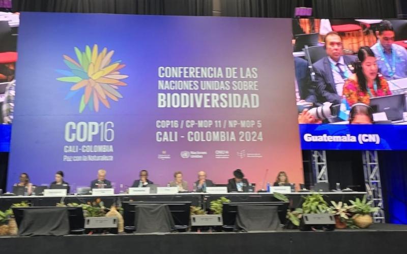 CONAP Guatemala
