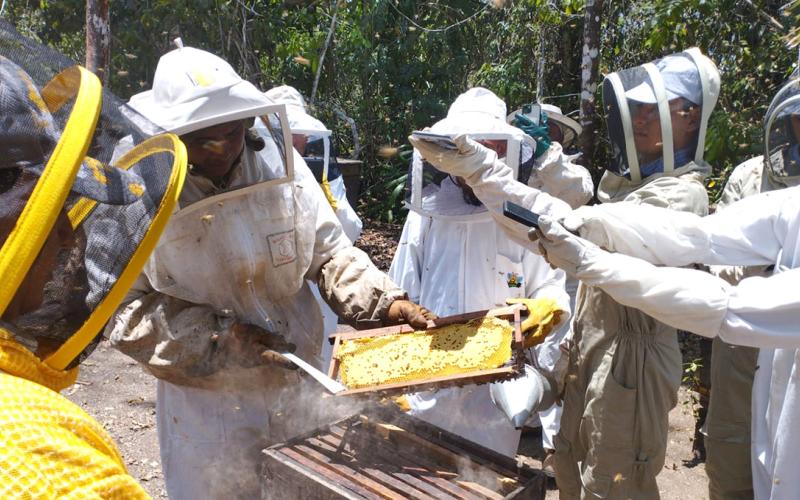 Finaliza diplomado en Apicultura Tropical con Énfasis en Manejo Orgánico de Apiarios