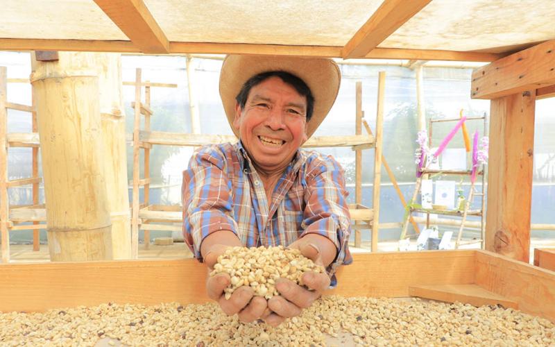 Camas africanas para el secado de café