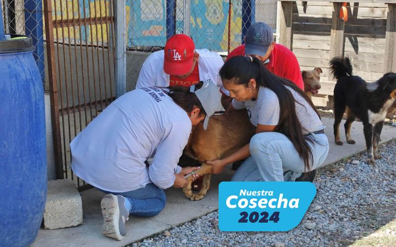 Compromiso con la protección y bienestar de los animales