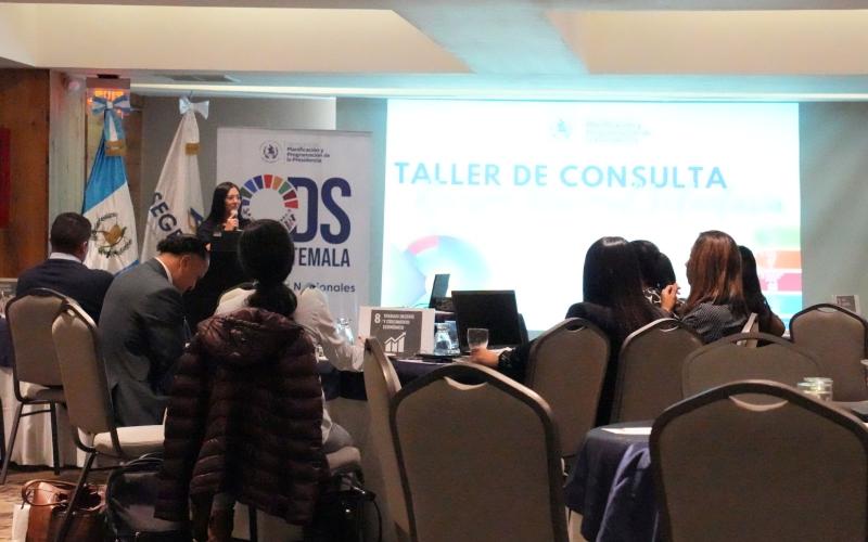 SEGEPLAN realizó consulta con organizaciones que laboran con el sector niñez.