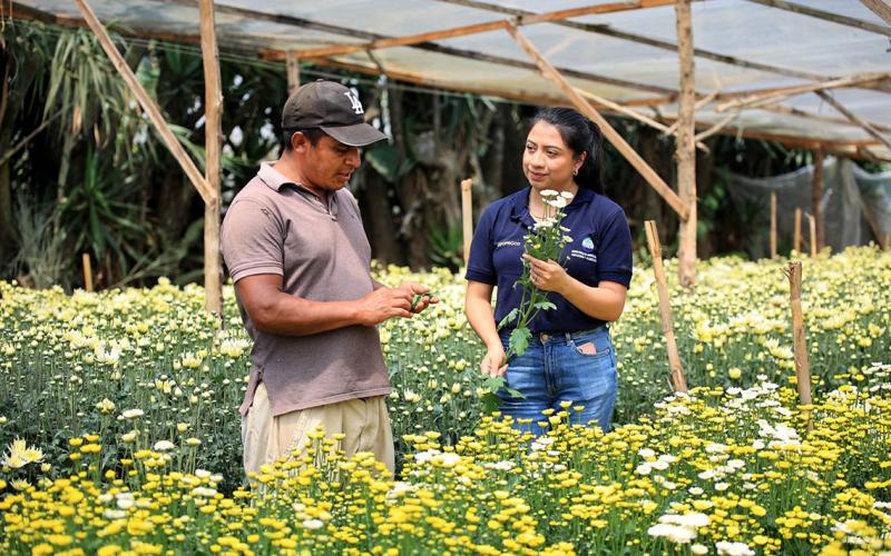 Los extensionistas son los aliados de los agricultores 