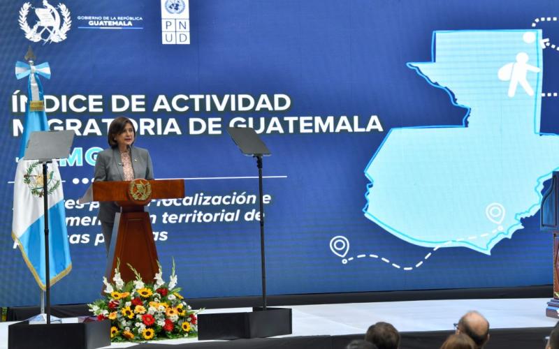 Vicepresidenta Karin Herrera