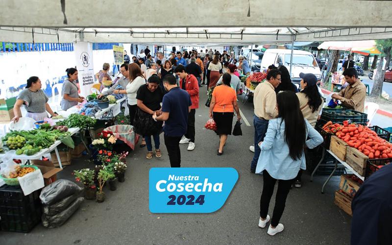 La mesa de los guatemaltecos se llenó de productos frescos gracias a la Feria del Agricultor 