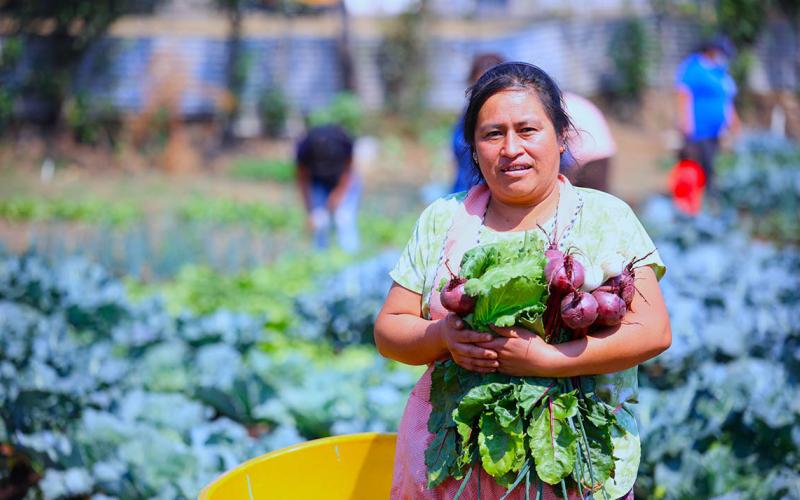 Agricultura sensible a la nutrición