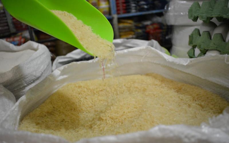 La importancia del arroz como cultivo y alimento 