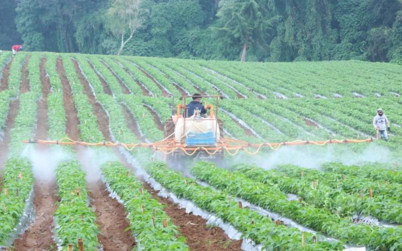 El uso de los biocombustibles en la agricultura
