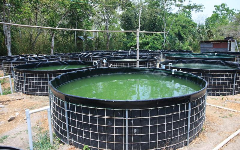 Conozca que hace el Centro Ecoproductivo El Remate