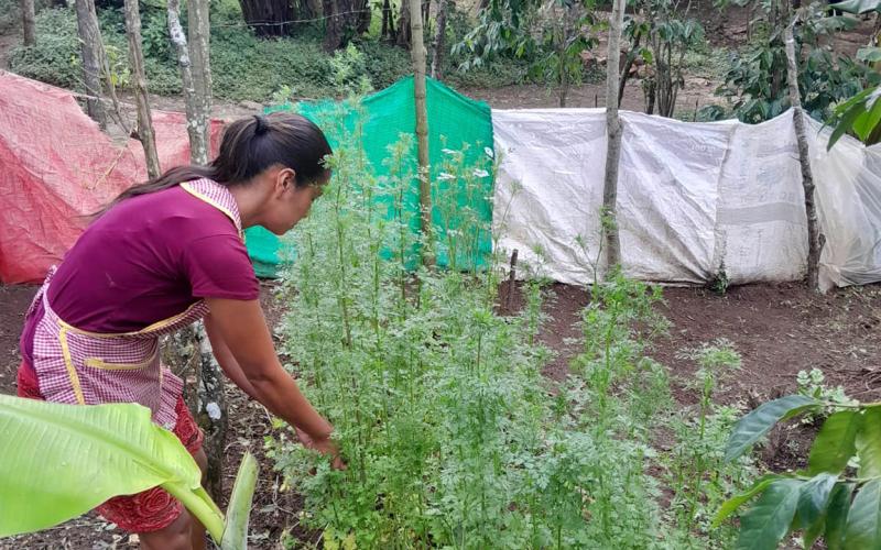 Disponibles capacitaciones para acceder al programa Alimentos por Acciones