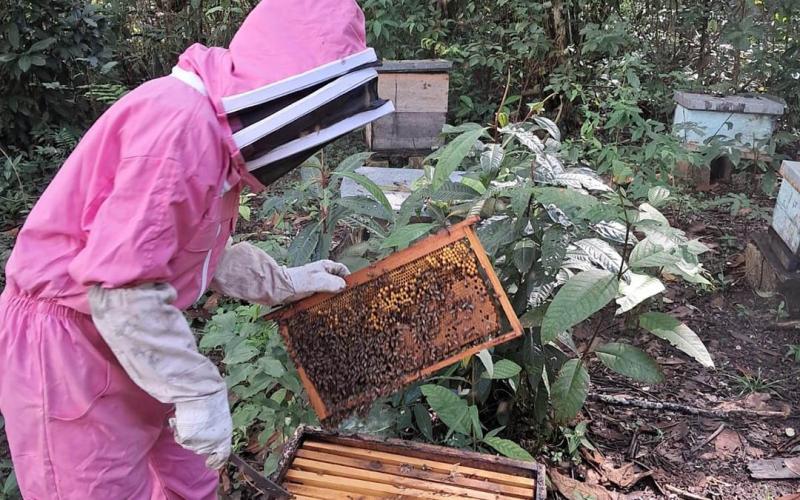 En Poptún brindan asistencia técnica en apicultura