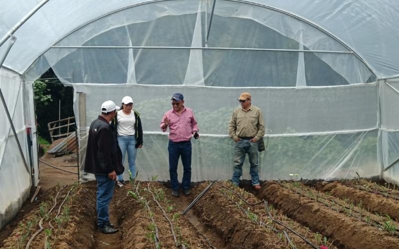 Tecnifican procesos de floricultores de San Marcos