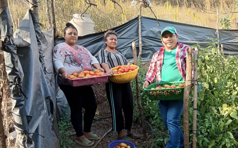 Fortalecimiento a la producción agrícola sostenible en Obraje Cruz