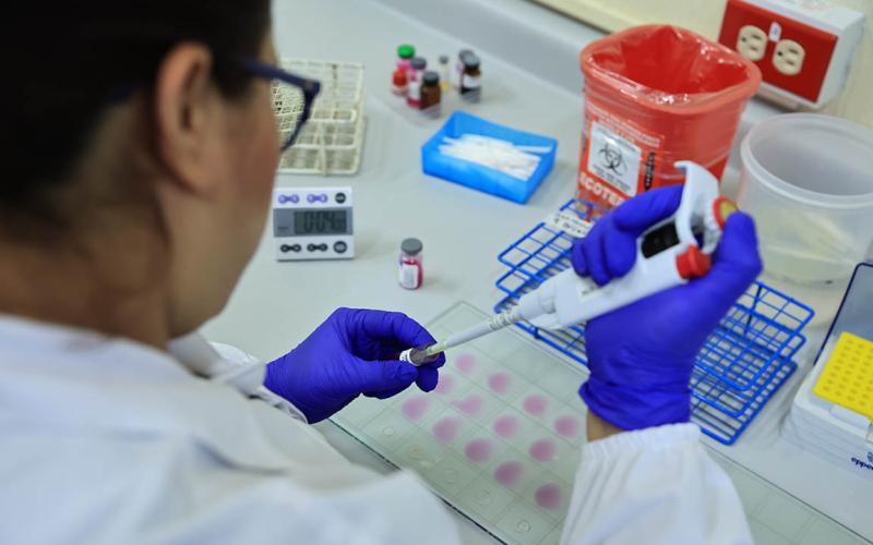 Laboratorio de Sanidad Animal trabaja en la detección del Gusano Barrenador del Ganado