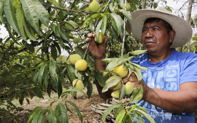 Montos a los que se puede acceder con el Crédito Tob’anik