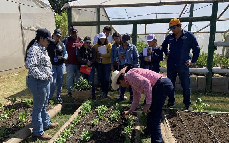 Proyecto "Huerto en el Hogar" iniciará en Escuintla 