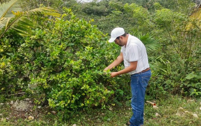 Productores de San Luis y Poptún reciben asistencia técnica