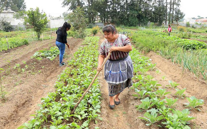 ¿Qué es la agricultura familiar?