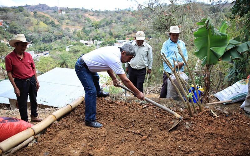La siembra en un suelo mineral