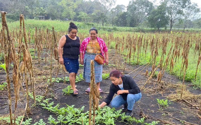 Los huertos comunitarios impulsan la agricultura familiar