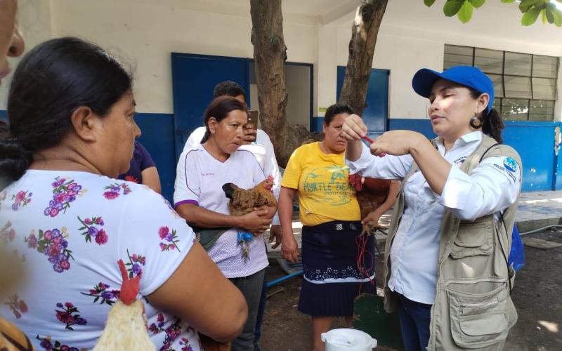 Mujeres de Masagua se capacitan en medicina preventiva en aves de traspatio