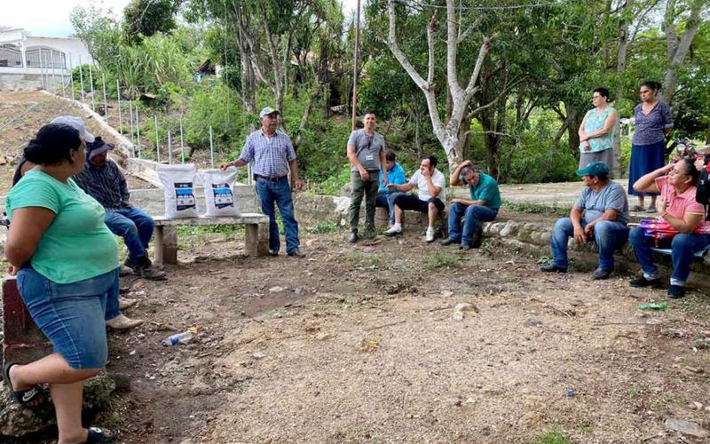 Trabajando por la promoción de las legumbres en Guatemala