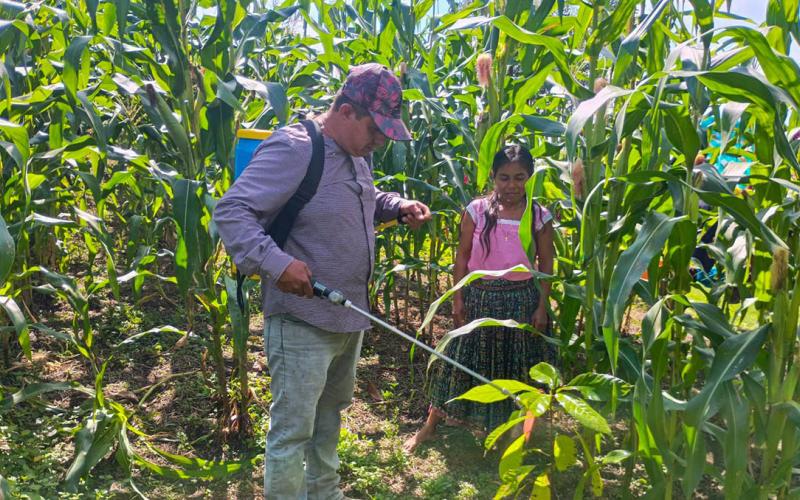 Brindan asistencia técnica para mejorar cultivos en Zona de Adyacencia