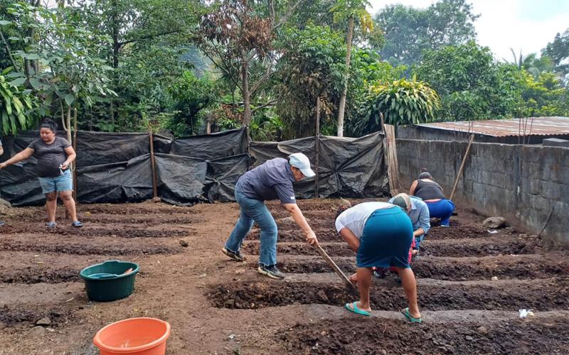 Con huertos familiares promueven producción de alimentos en Escuintla