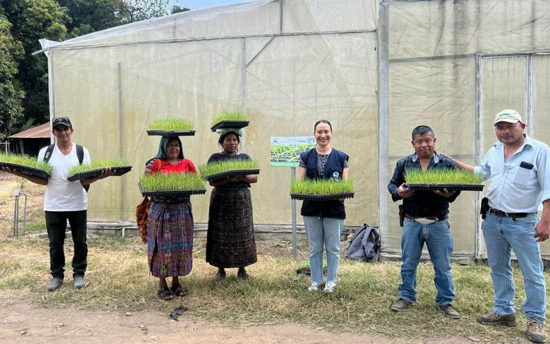 Entregan más de 7 mil pilones de cebolla en Baja Verapaz