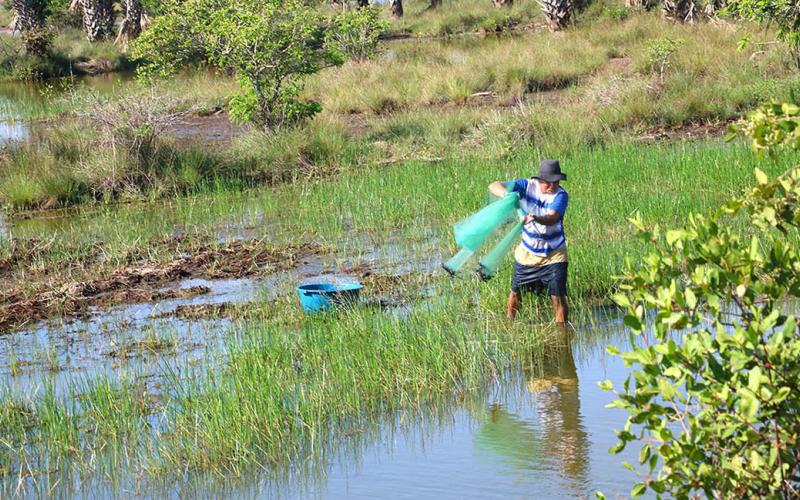 La pesca artesanal en las áreas de reserva territoriales del Estado desarrolla la economía local