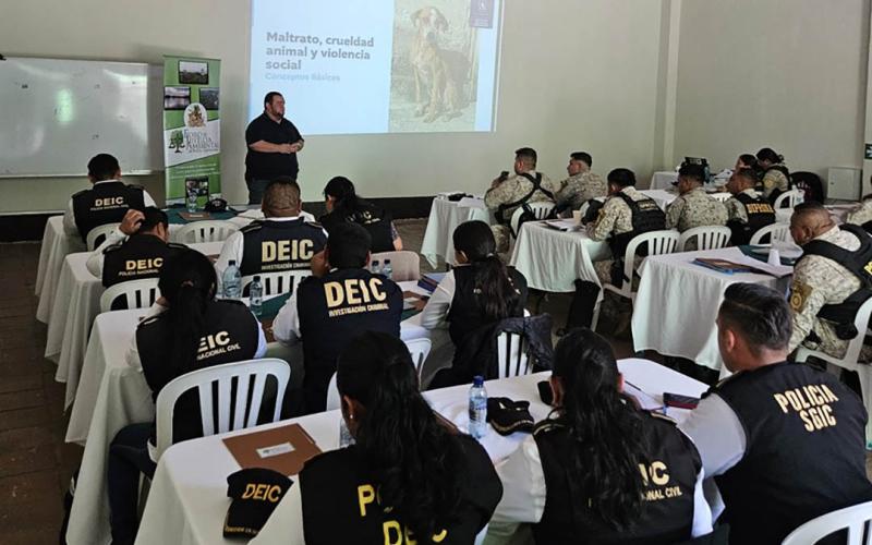 UBA participa en taller de Legislación ambiental y delitos contra la vida silvestre