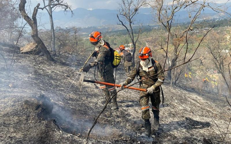 121 incendios forestales liquidados con el apoyo del Ejército de Guatemala durante el 2025.