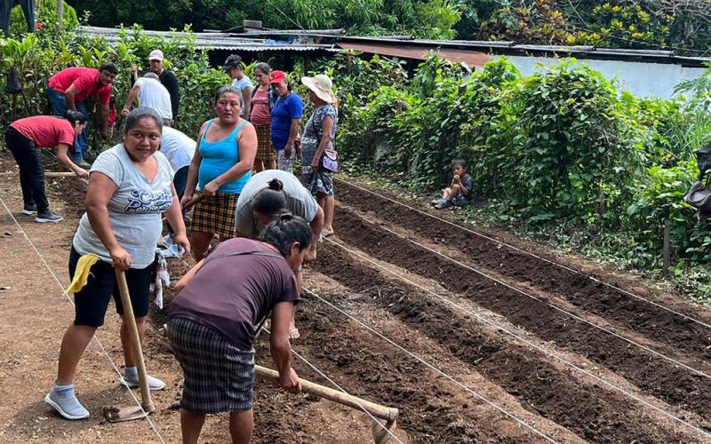 Promueven prácticas agrícolas sostenibles para mejorar la nutrición familiar