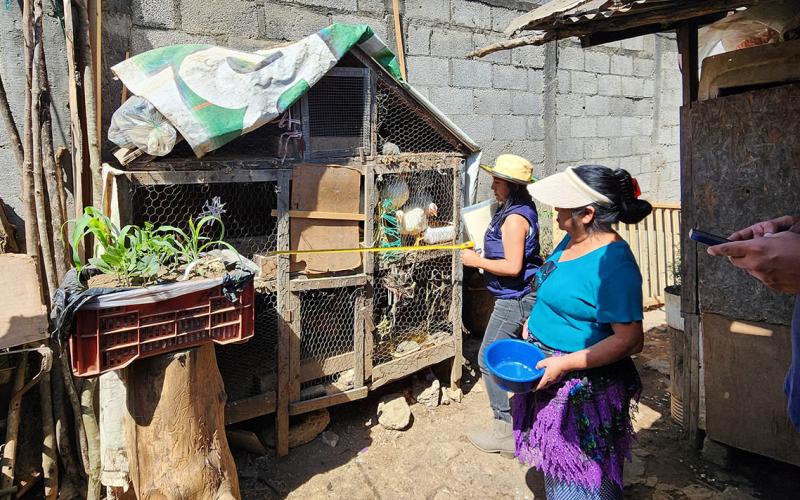 Proyecto comunitario de gallineros en Santa Lucía Milpas Altas