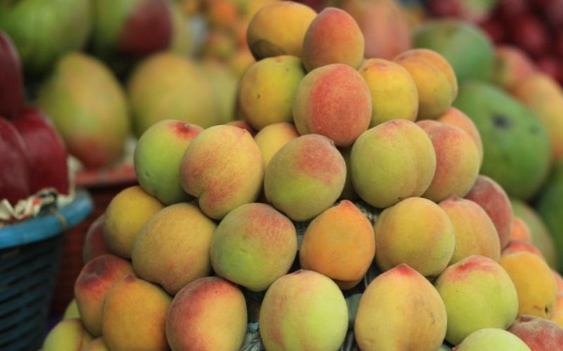 Color, sabor y trabajo: la fruticultura impulsa el desarrollo de miles de familias