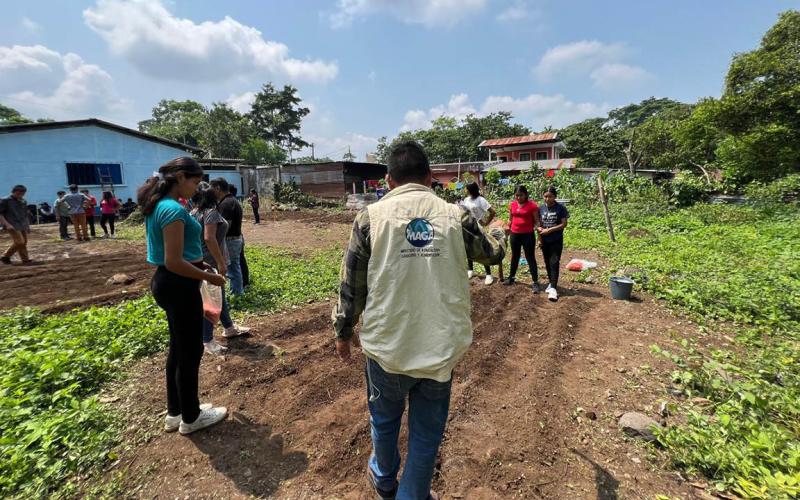 Implementan huerto escolar con fines pedagógico en Samayac, Suchitepéquez