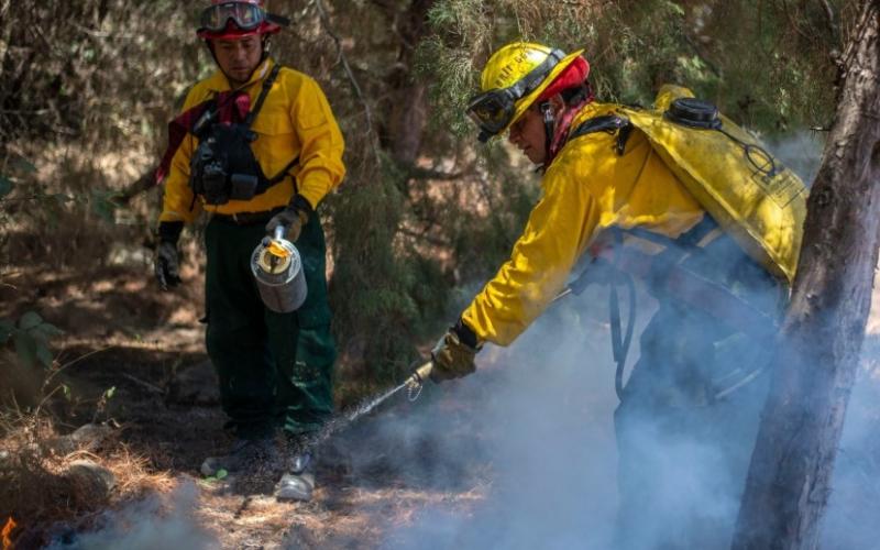 Héroes del bosque, honramos a los combatientes de incendios forestales