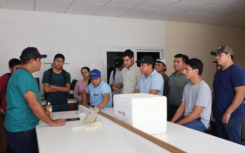 Laboratorio Genético impulsa el mejoramiento del ganado bovino en Petén 