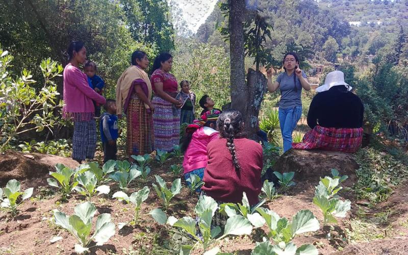 Realizan visitas de seguimiento y monitoreo en huertos comunales