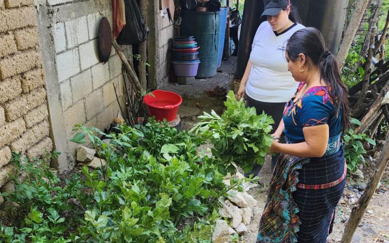 Se apoyan los emprendimientos agrícolas de Chuarrancho