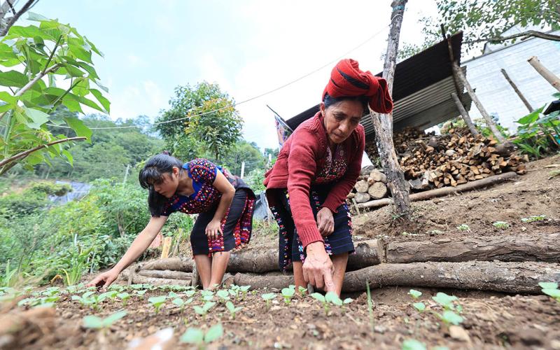 Declaran a La Florida, Huehuetenango,  "Comunidad Ejemplar" por su desarrollo