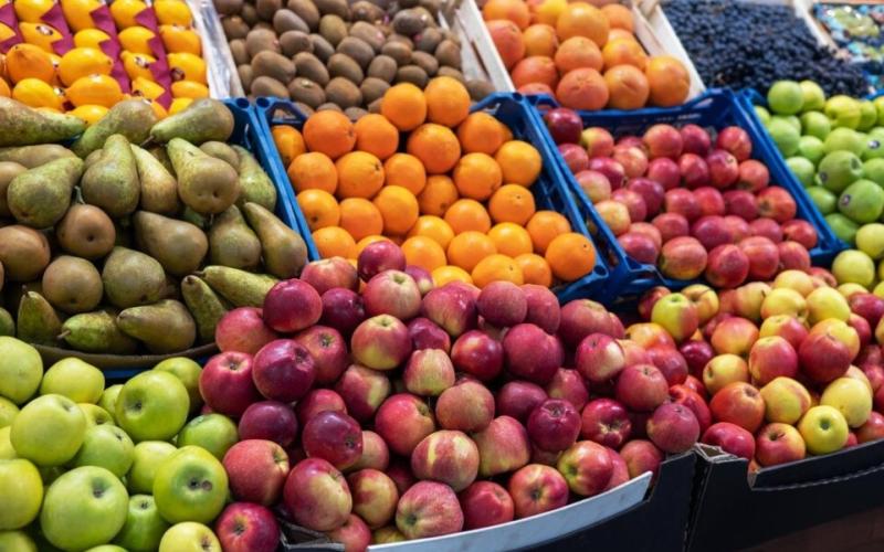Día Nacional y Regional de las frutas: acciones garantizan sanidad vegetal